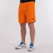Шорты игровые JOMA NOBEL 100053.880