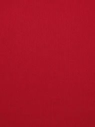 Детские шорты KELME Football Shorts Red