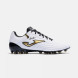 Бутсы JOMA AGUILA CUP 2602   ARTIFICIAL GRASS