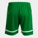 Игровые шорты JOMA TOKYO  