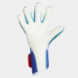Вратарские перчатки JOMA AREA 24