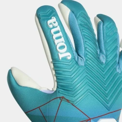 Вратарские перчатки JOMA AREA 24