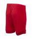 Шорты игровые JOGEL DIVISION PerFormDRY Union Shorts, красный/темно-красный/белый