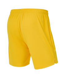 Шорты вратарские JOGEL PREMIER PerFormDRY GK Shorts Yellow, желтый