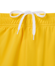 Шорты вратарские JOGEL PREMIER PerFormDRY GK Shorts Yellow, желтый