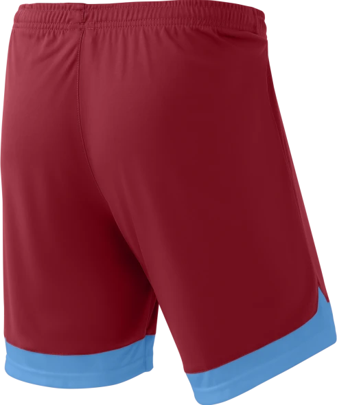 Шорты игровые JOGEL DIVISION PerFormDRY Union Shorts, гранатовый/голубой/белый