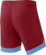 Шорты игровые JOGEL DIVISION PerFormDRY Union Shorts, гранатовый/голубой/белый