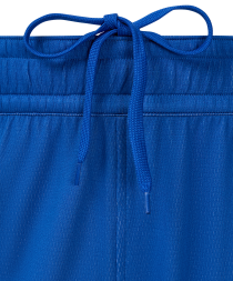 Шорты двухсторонние JOGEL DIVISION PerFormDRY Double-side Shorts, синий/белый