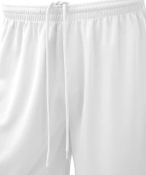 Шорты баскетбольные JOGEL CAMP Basic, белый