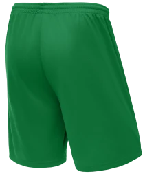 Шорты баскетбольные JOGEL CAMP Basic, зеленый