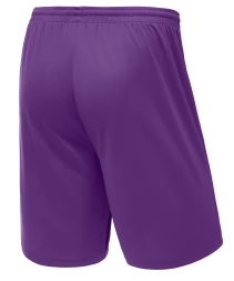 Шорты баскетбольные JOGEL CAMP Basic, фиолетовый