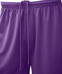 Шорты баскетбольные JOGEL CAMP Basic, фиолетовый