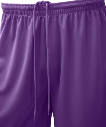 Шорты баскетбольные JOGEL CAMP Basic, фиолетовый