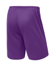 Шорты баскетбольные JOGEL CAMP Basic, фиолетовый