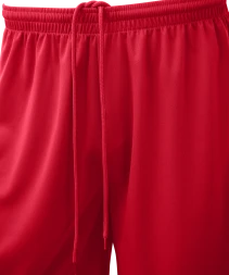 Шорты баскетбольные JOGEL CAMP Basic, красный