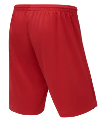 Шорты баскетбольные JOGEL CAMP Basic, красный