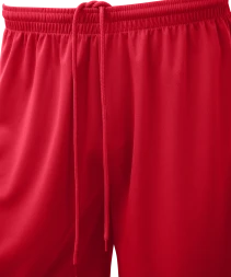 Шорты баскетбольные JOGEL CAMP Basic, красный