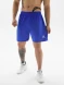 Шорты KELME Football Shorts Blue