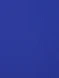 Шорты KELME Football Shorts Blue