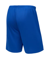Шорты баскетбольные JOGEL CAMP Basic, синий