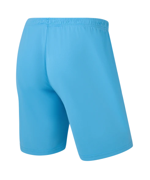 Шорты игровые JOGEL CAMP Classic Shorts, голубой, детский