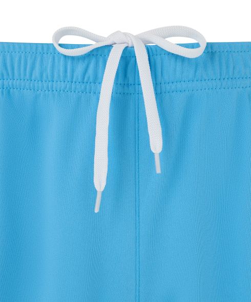 Шорты игровые JOGEL CAMP Classic Shorts, голубой