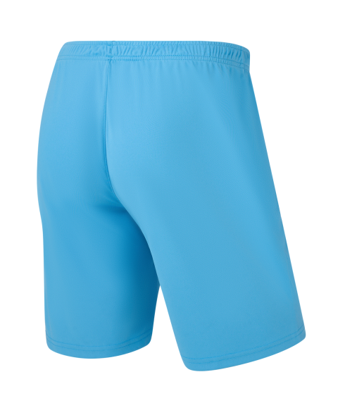 Шорты игровые JOGEL CAMP Classic Shorts, голубой