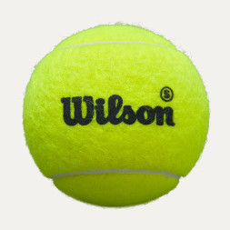 Мяч для падела Wilson Premier Padel Speed, WR8908501001, уп.3 шт, сукно, нат.резина,желтый