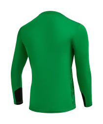 Свитер вратарский JOGEL DIVISION PerFormDRY GK Splash, зеленый