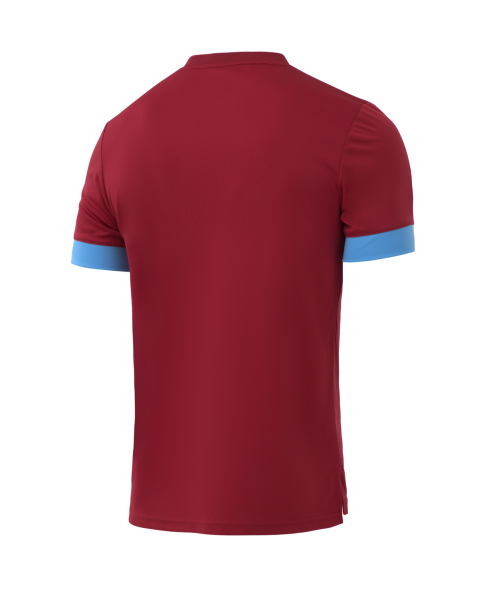 Футболка игровая JOGEL DIVISION PerFormDRY Union Jersey, гранатовый/голубой/белый