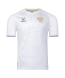Футболка игровая JOGEL NATIONAL PerFormDRY Away Jersey, белый