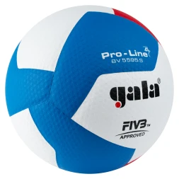 Мяч волейбольный GALA Pro-Line 12, FIVB