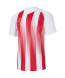 Футболка игровая JOGEL CAMP Striped Jersey, красный/белый, детский