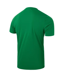 Футболка вратарская JOGEL DIVISION PerFormDRY SPLASH GK Jersey, зеленый, детский