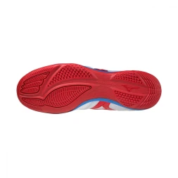 Футзалки MIZUNO MRL SALA CLUB