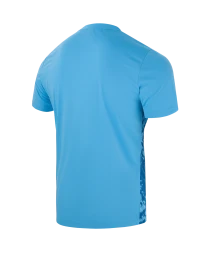 Футболка вратарская JOGEL DIVISION PerFormDRY SPLASH GK Jersey, голубой, детский
