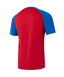 Футболка игровая JOGEL CAMP Striped Jersey, красный/синий, детский