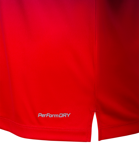 Футболка тренировочная JOGEL NATIONAL PerFormDRY Pre-Match Tee, сине-красный