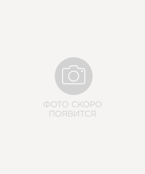 Кроссовки спортивные JOGEL Snowstorm MID 2.0, черный/серый