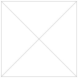 СТЕГАНЫЙ ЖИЛЕТ ДЛЯ ПРОГУЛОК TORINO