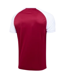 Футболка игровая JOGEL CAMP Reglan Jersey, гранатовый/белый, детский