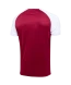Футболка игровая JOGEL CAMP Reglan Jersey, гранатовый/белый, детский