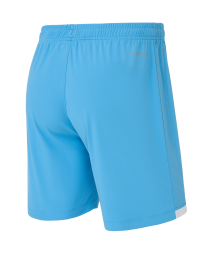 Шорты игровые JOGEL DIVISION PerFormDRY Union Shorts, голубой, детский