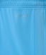 Шорты игровые JOGEL DIVISION PerFormDRY Union Shorts, голубой, детский