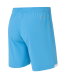 Шорты игровые JOGEL DIVISION PerFormDRY Union Shorts, голубой, детский