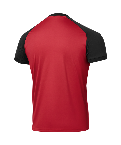Футболка игровая JOGEL CAMP Reglan Jersey, красный