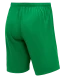 Шорты игровые JOGEL DIVISION PerFormDRY Union Shorts, зеленый