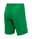 Шорты игровые JOGEL DIVISION PerFormDRY Union Shorts, зеленый