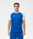 Футболка игровая JOGEL CAMP Reglan Jersey, синий/белый