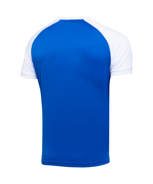Футболка игровая JOGEL CAMP Reglan Jersey, синий/белый